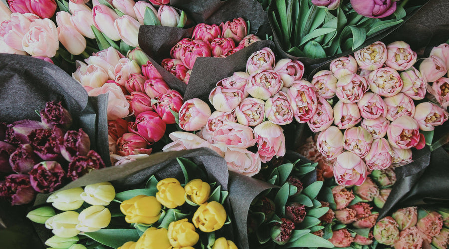 The value of heartfelt appreciation