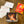 Strengths Cards Essential Edition
